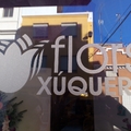 FLORS XÚQUER