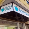 FLORS XÚQUER