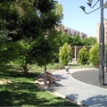 Parque de Los Juncos