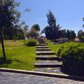 Parque de Los Juncos