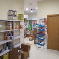 Proyecto licencia apertura farmacia