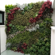 Instalación de composición de Jardín Vertical 100% artificial