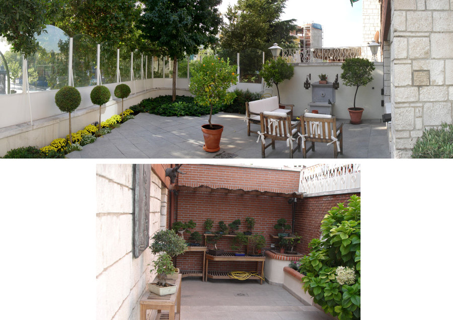 00 Estado antes de la reforma de la terraza-jardín