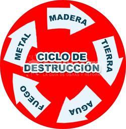 Estudios de feng shui para la casa o la oficina 