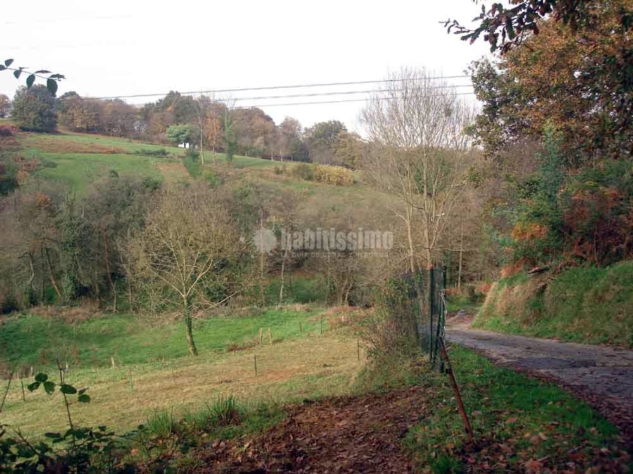 Reforma integral habitatge unifamiliar Llimanes