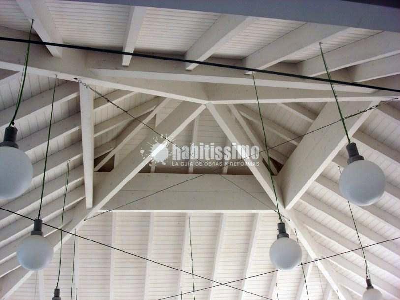 Palapa tropical Hotel Gato Montes