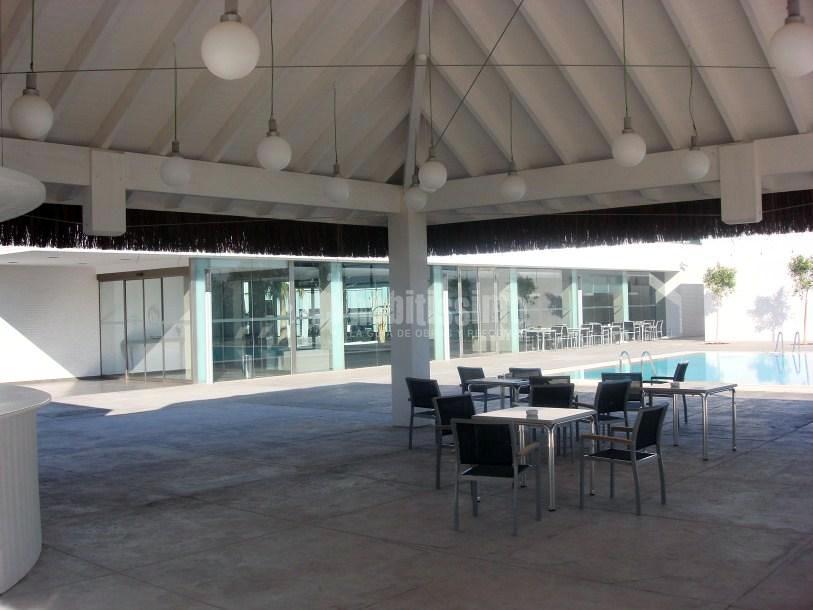 Palapa tropical Hotel Gato Montes