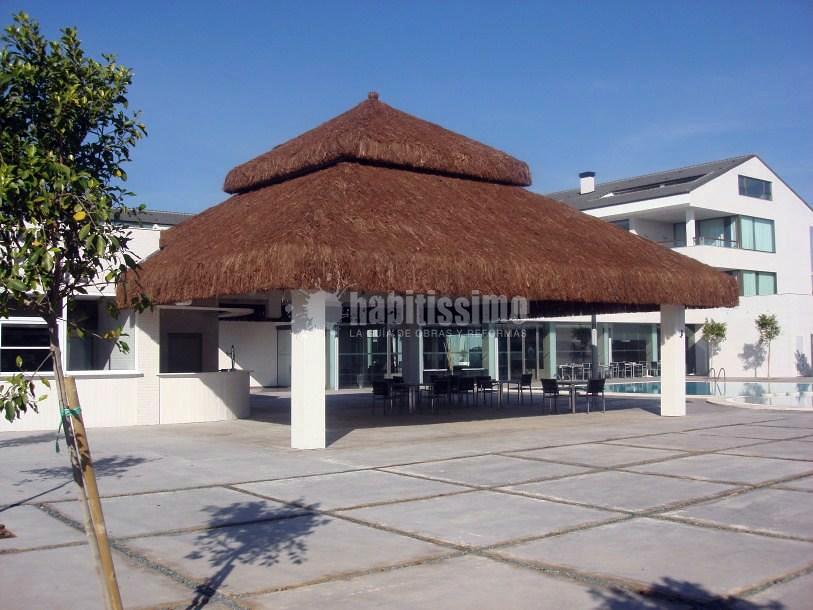 Palapa tropical Hotel Gato Montes