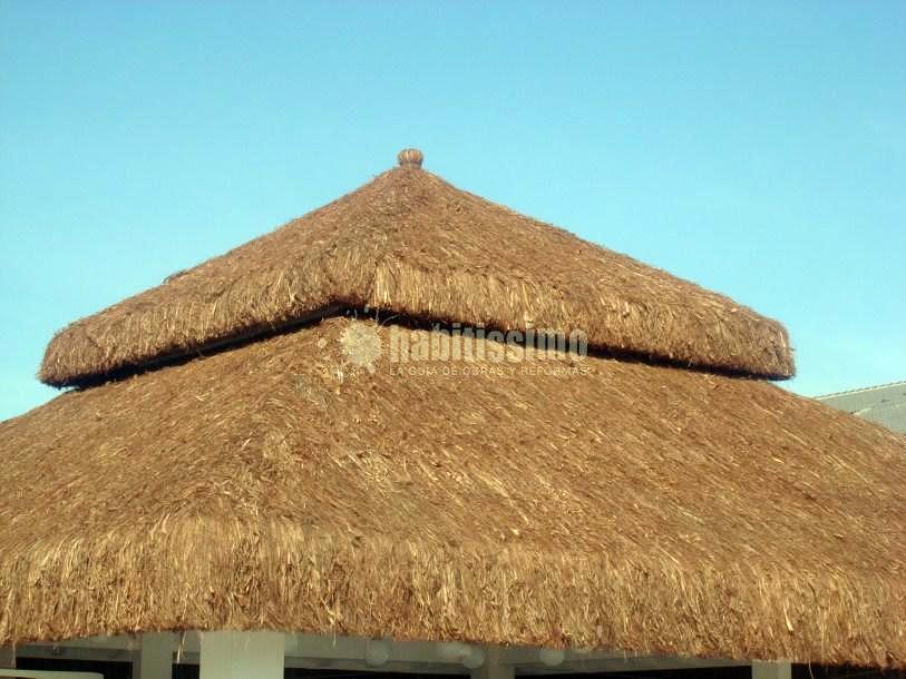 Palapa tropical Hotel Gato Montes