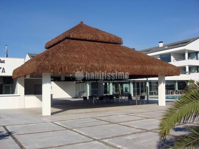 Palapa tropical Hotel Gato Montes