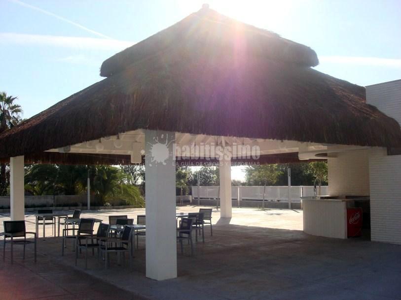 Palapa tropical Hotel Gato Montes