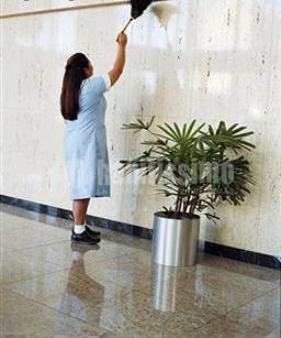 Limpieza y desinfección de farmacias