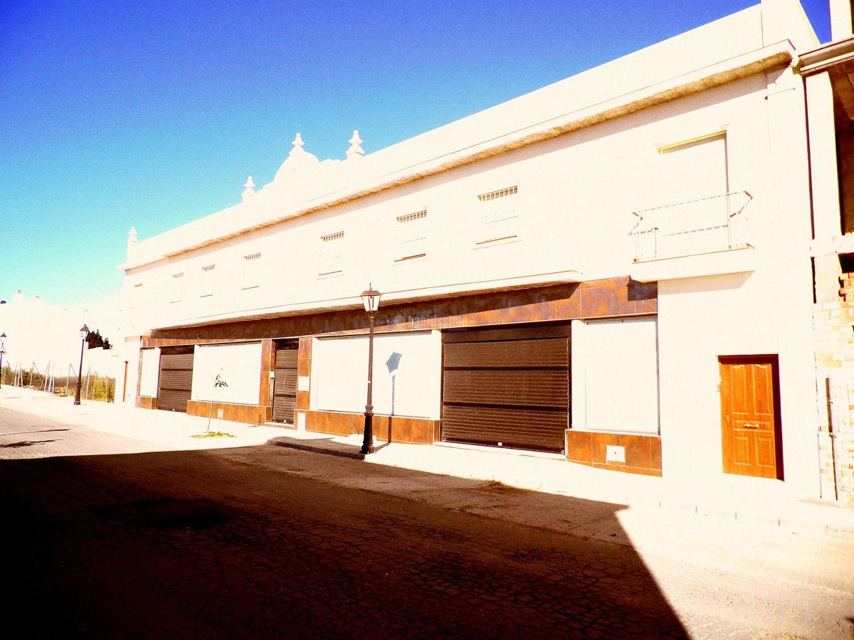 Edificio de viviendas y local comercial