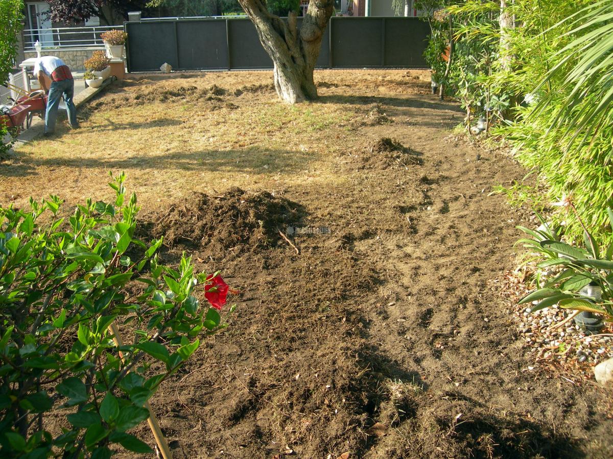 Proyecto integral de decoración de exterior