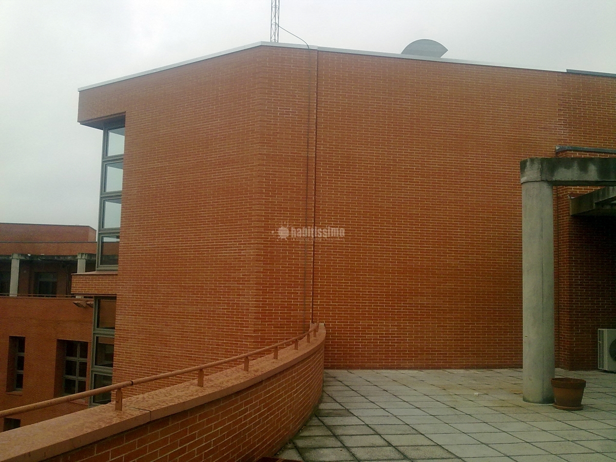 Colocación de ladrillo visto