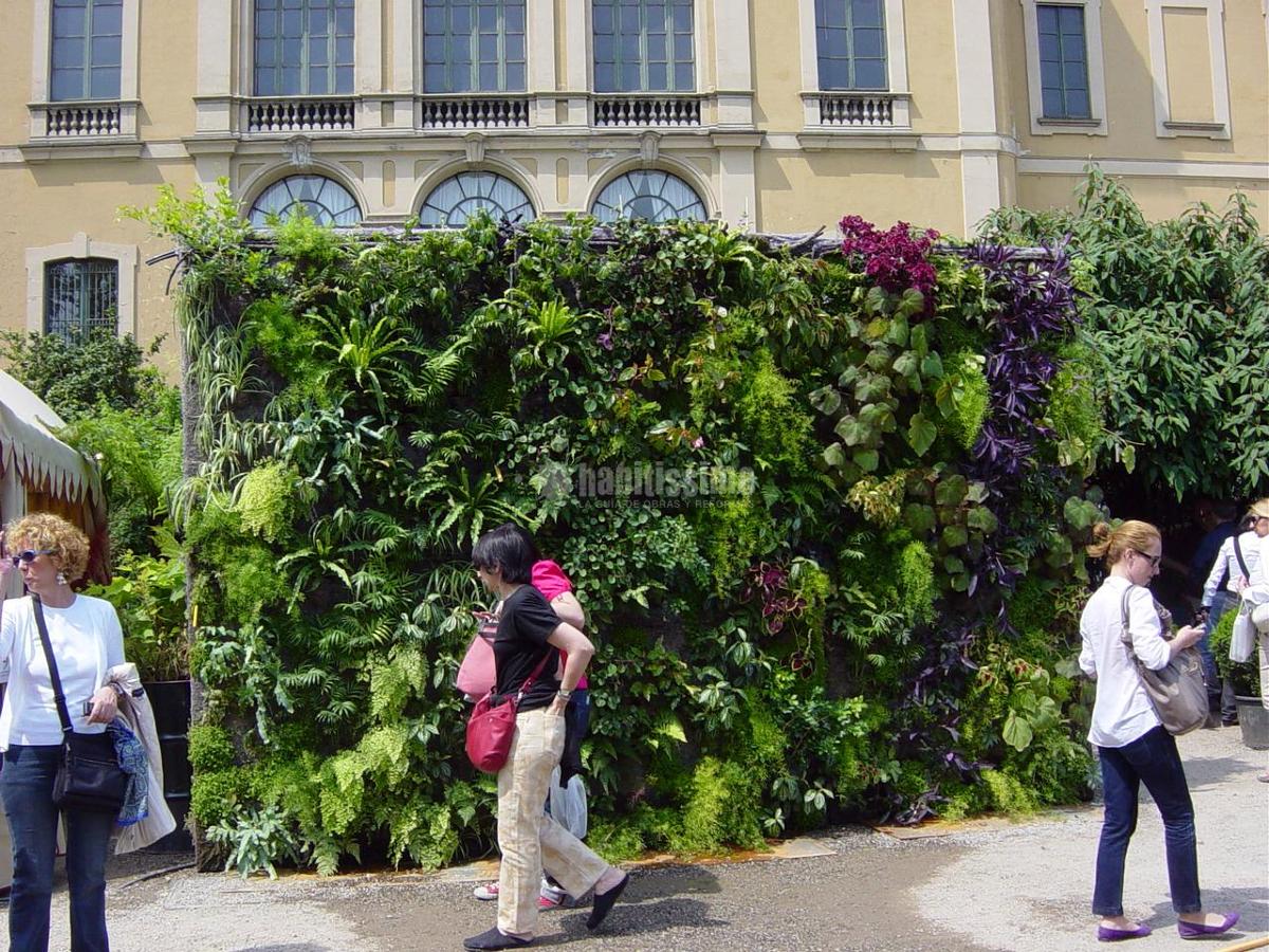 Jardín vertical en Cabo Huertas