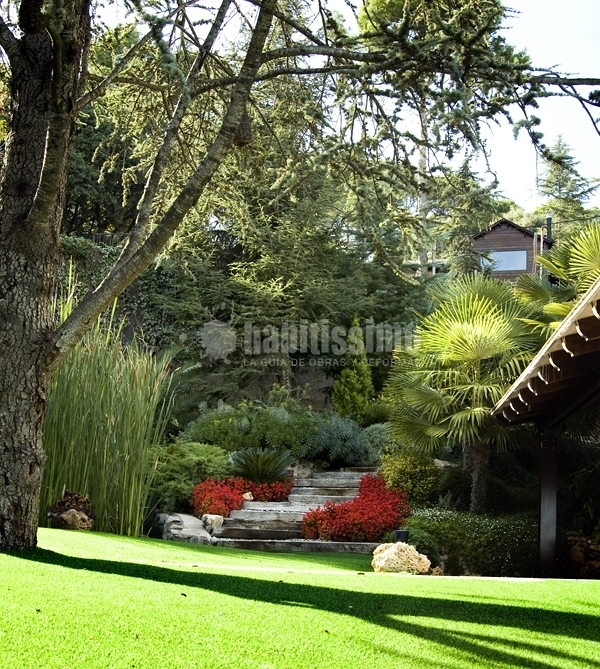 Césped artificial Royal Grass