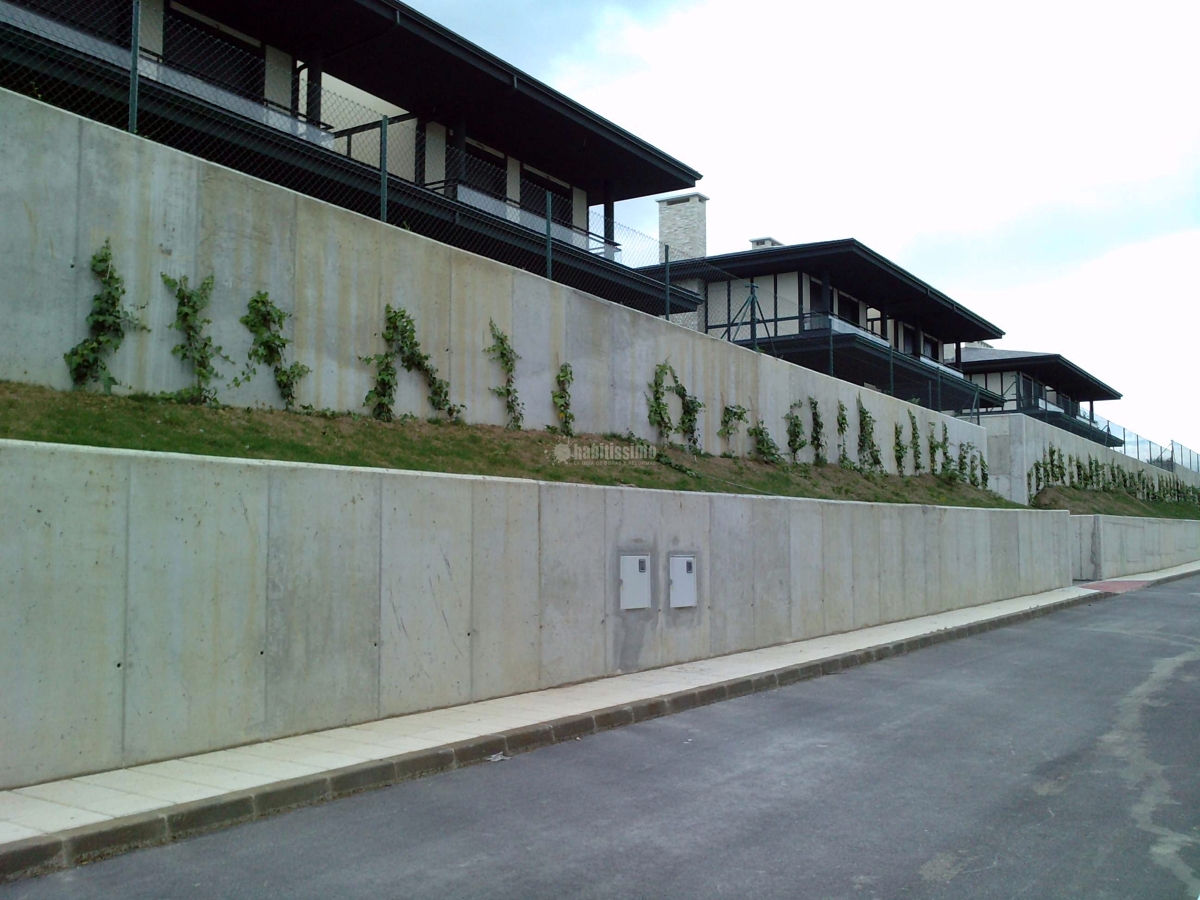 40 Viviendas En La Loma