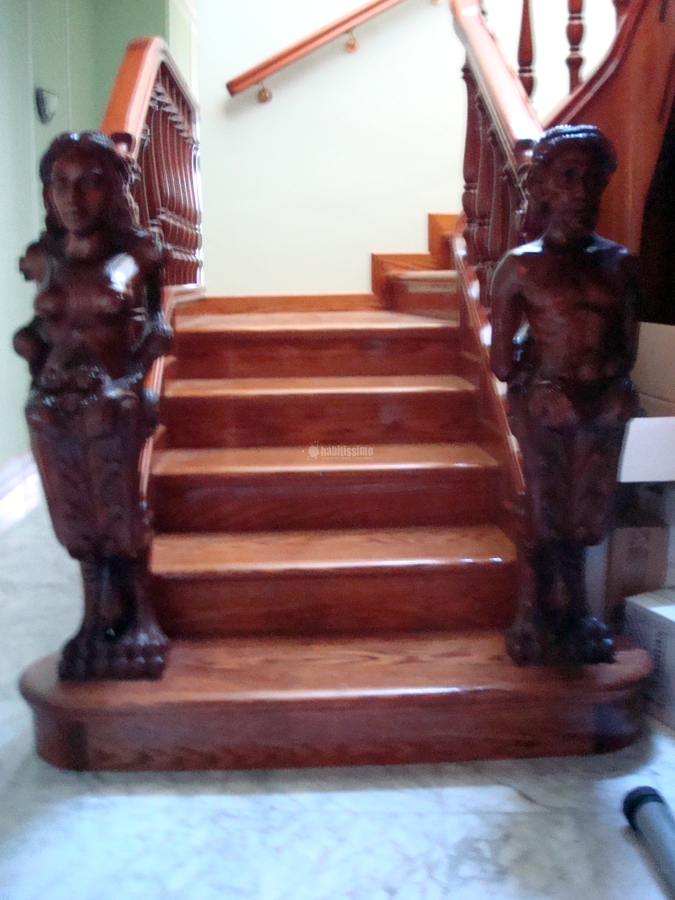 Escalera Metamorfosis