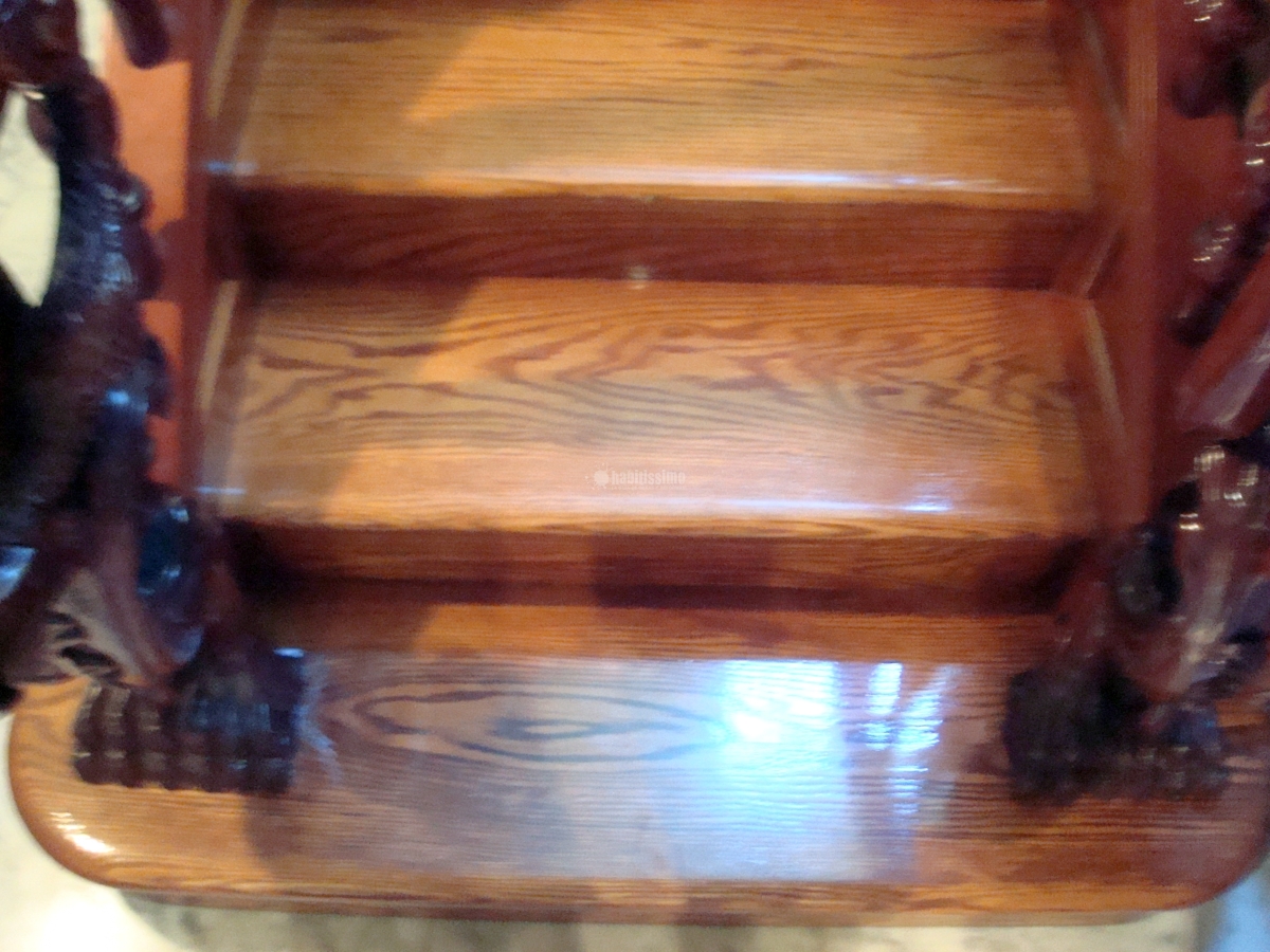 Escalera Metamorfosis