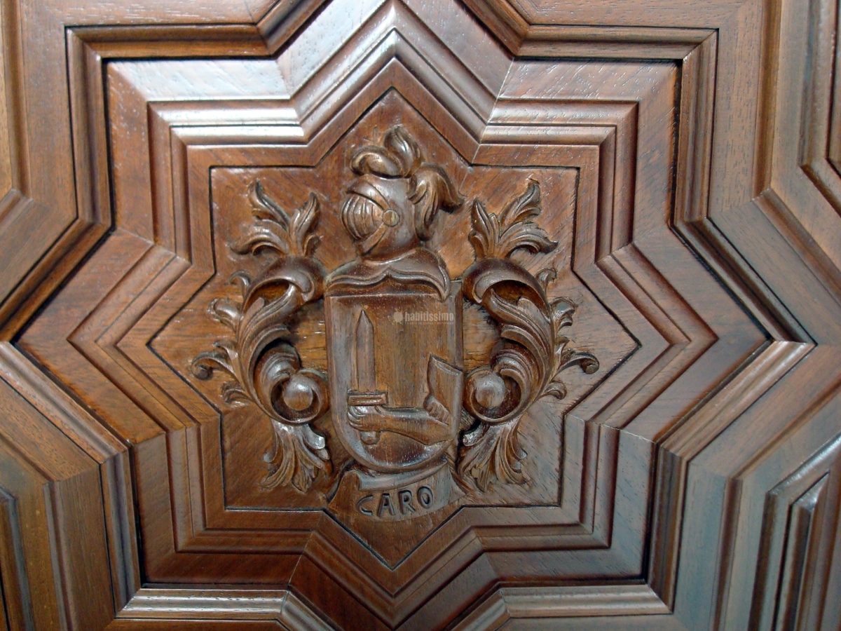 Portón Modelo Ars Longa