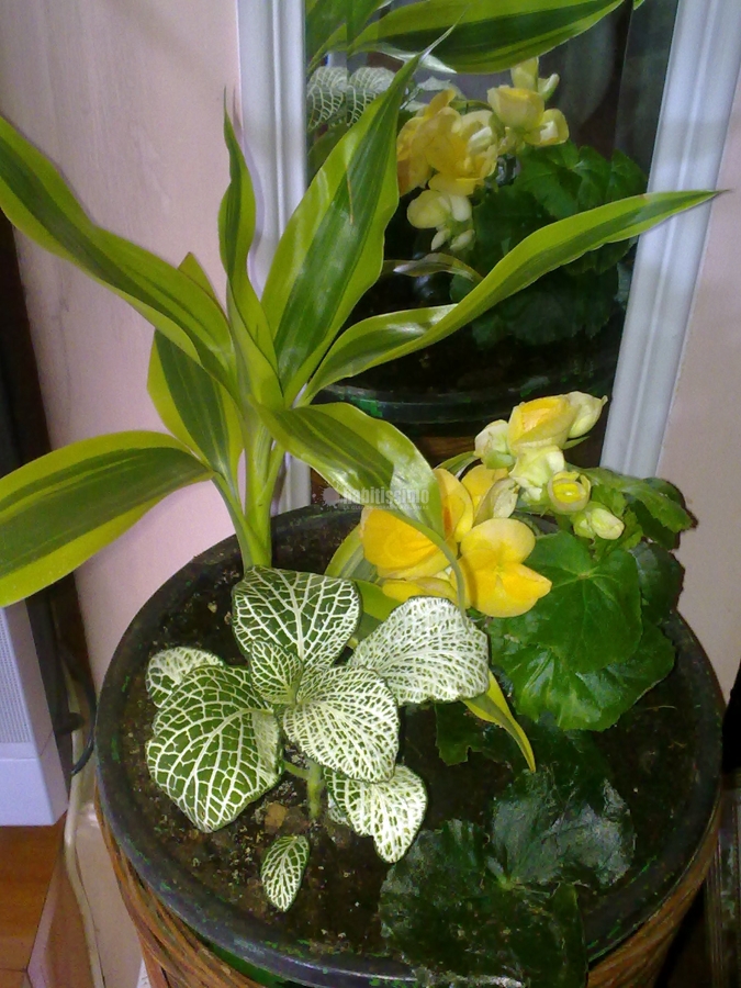 Diseño De Jardín En Toledo