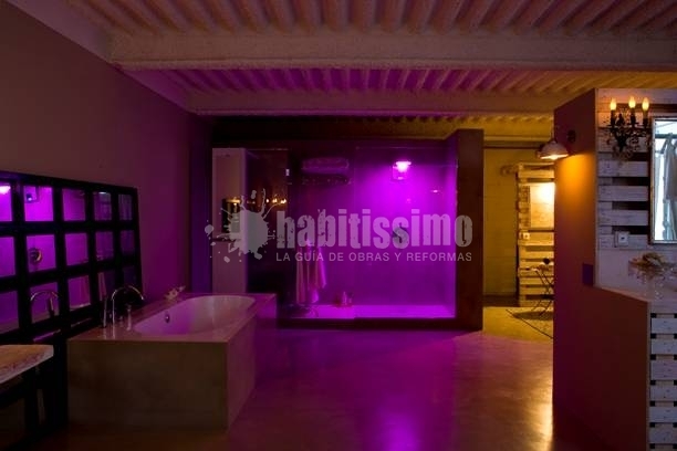 Suite Armonía De Contrastes