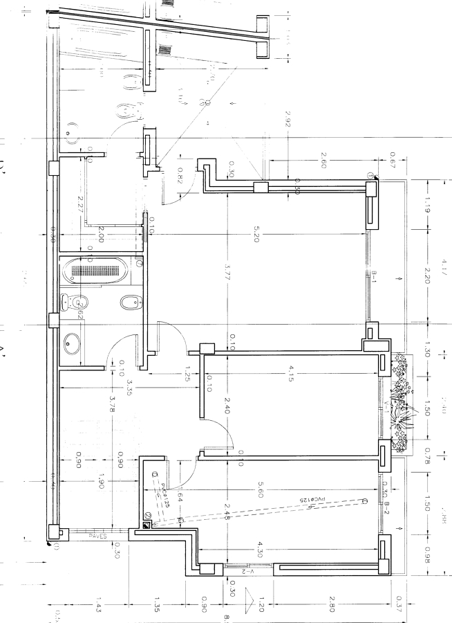 Selva Negra Catalana