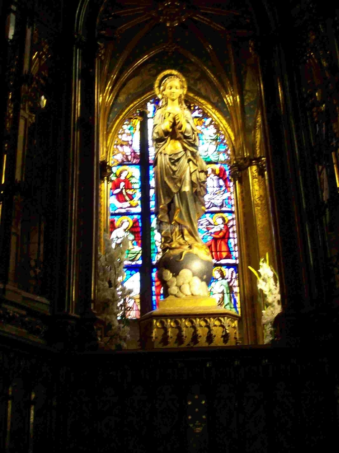 Alumbrado De Bajo Consumo En Basílica De La Concepción