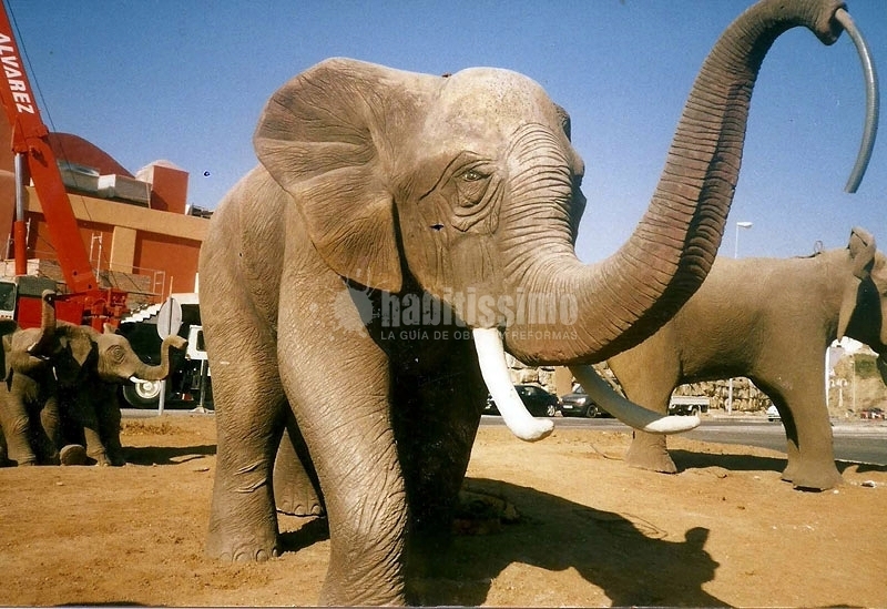 Tematizaciones Para Piscinas, Jardines, Viviendas y Locales