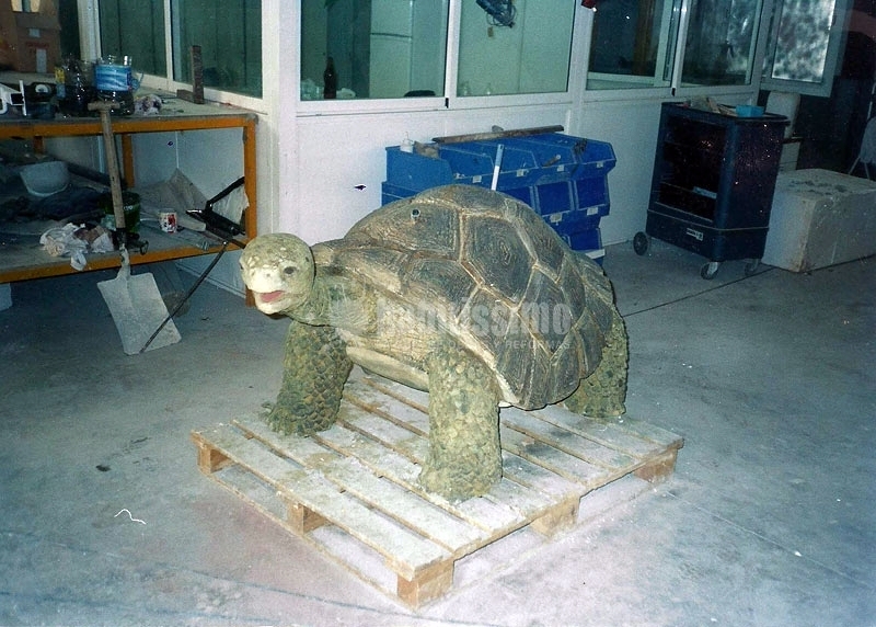 Tematizaciones Para Piscinas, Jardines, Viviendas y Locales