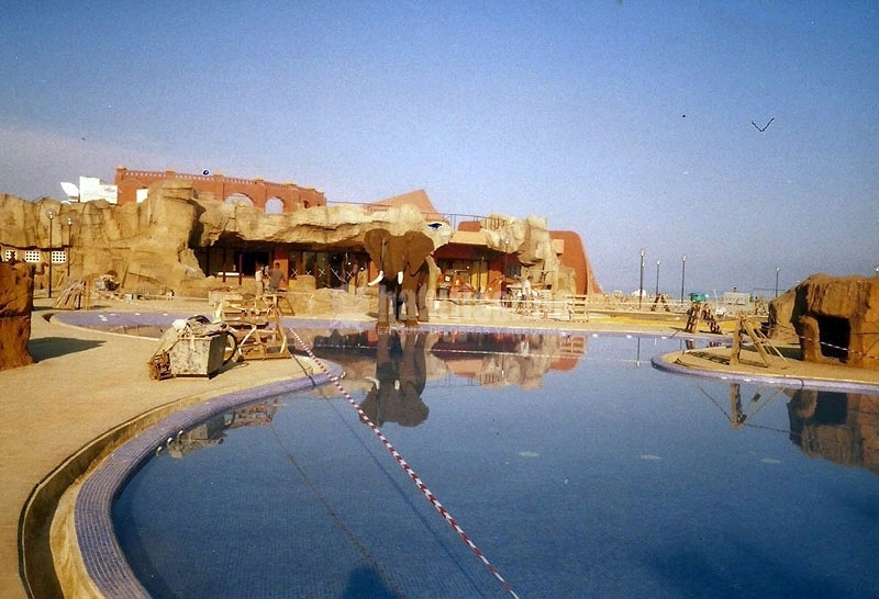 Tematizaciones Para Piscinas, Jardines, Viviendas y Locales