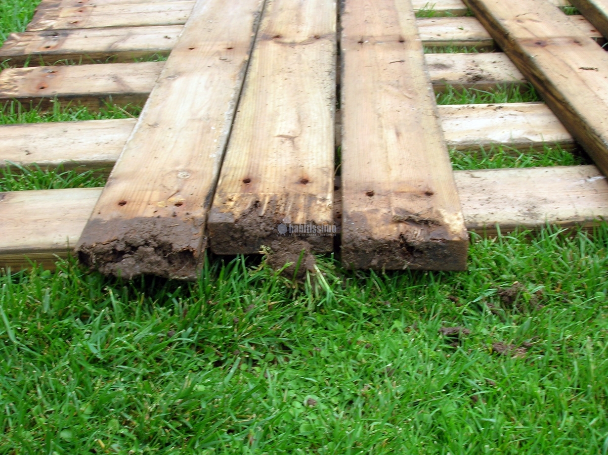 Tarimas De Maternidad De Barcelona