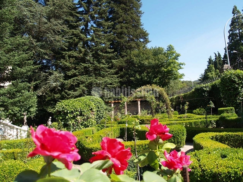 Reforma De Casita Campestre