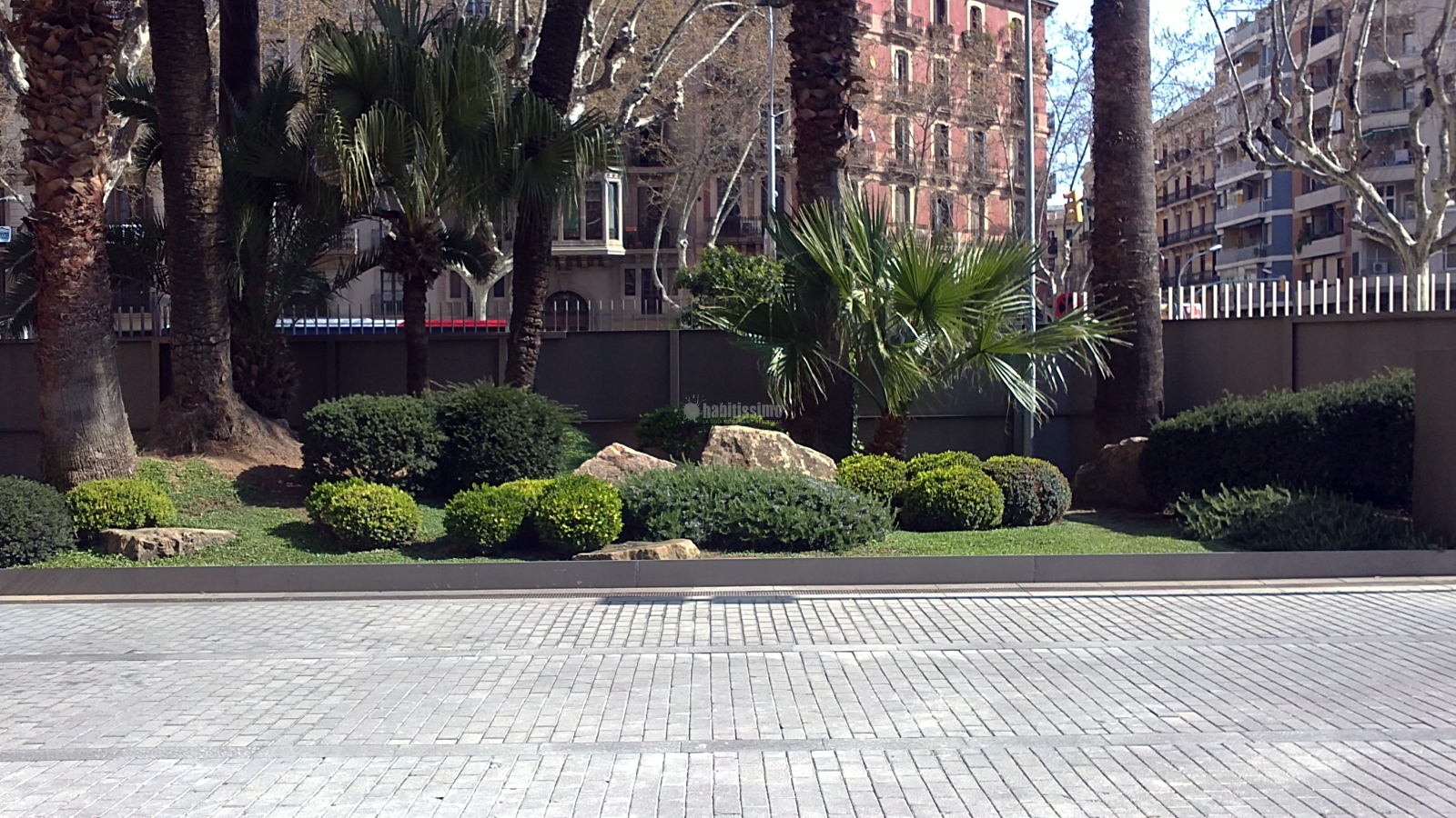 Jardin Planta y Arbustos Autóctonos Zona