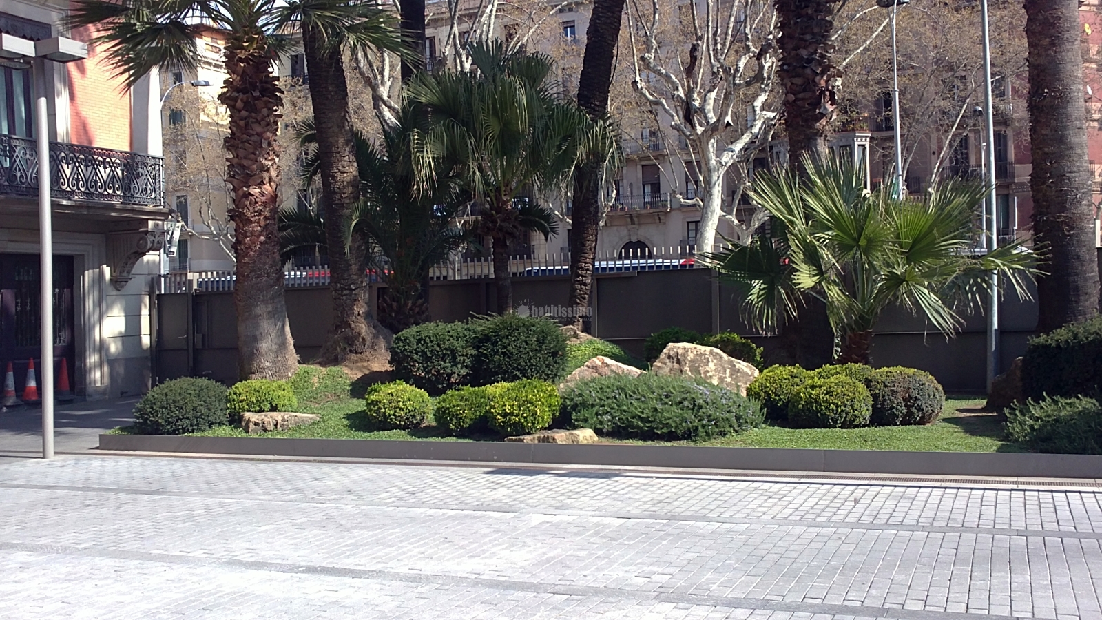 Jardin Planta y Arbustos Autóctonos Zona