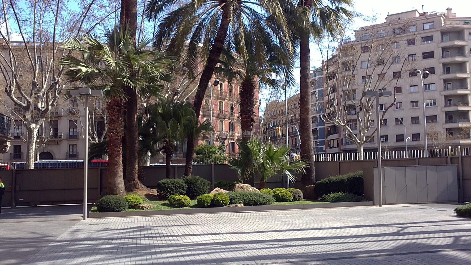 Jardin Planta y Arbustos Autóctonos Zona