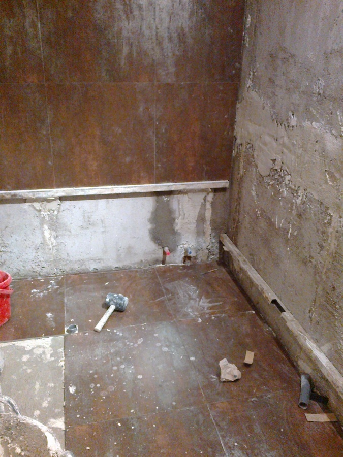 2_Baño_Vva. de la Cañada