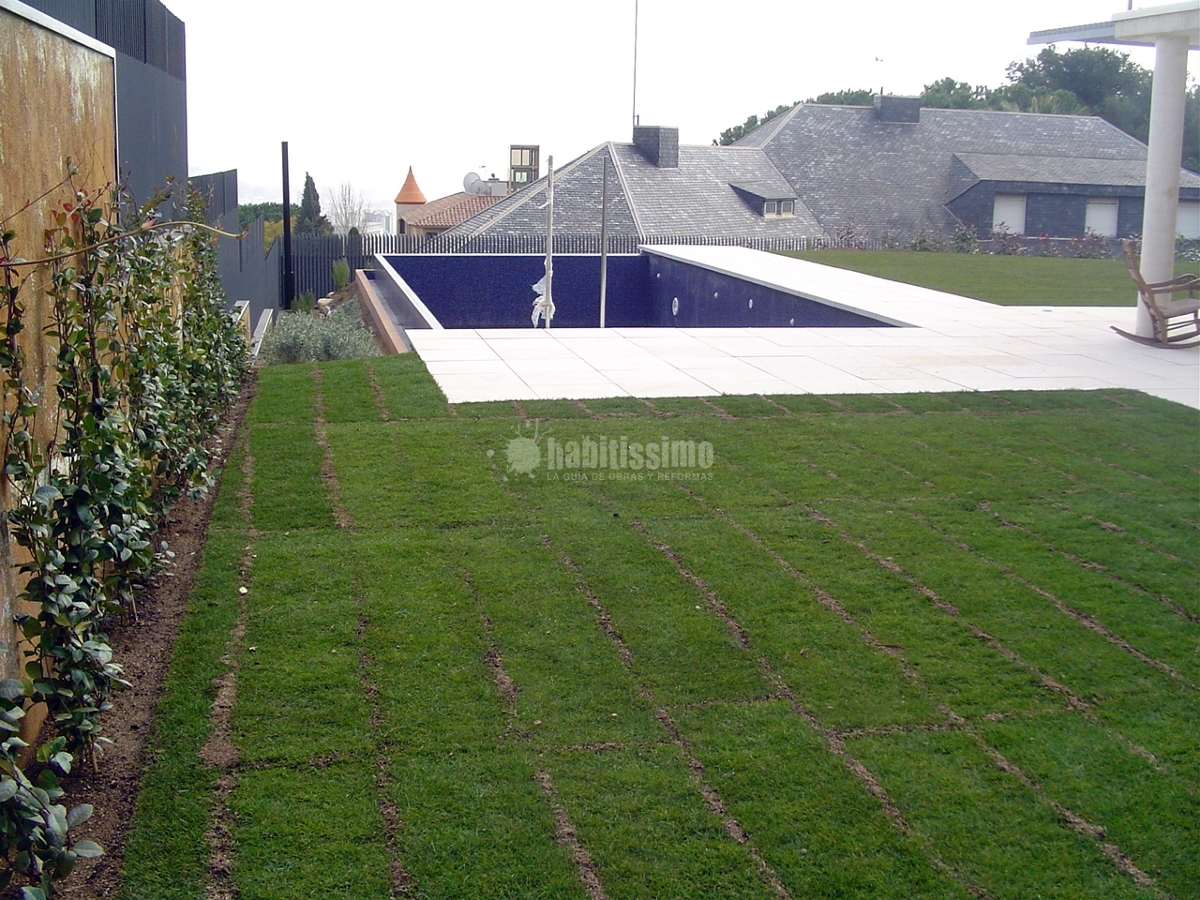 Jardí a Barcelona. Caràcter bohemi