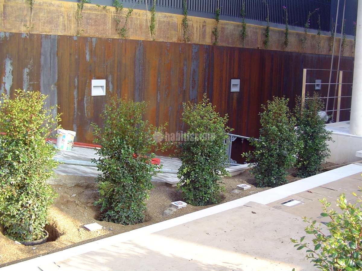 Jardí a Barcelona. Caràcter bohemi