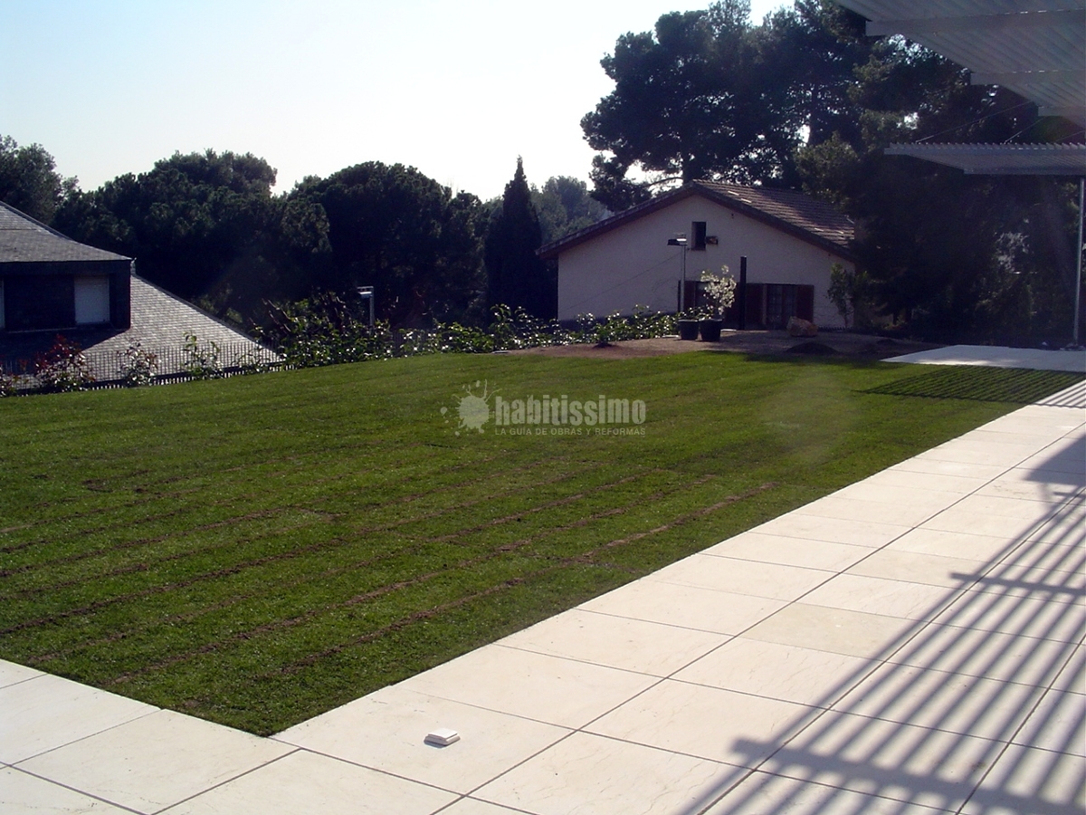 Jardí a Barcelona. Caràcter bohemi