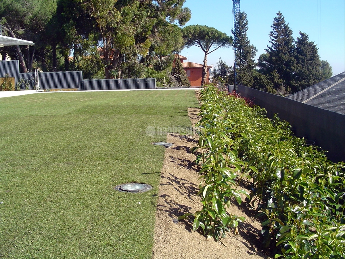 Jardí a Barcelona. Caràcter bohemi
