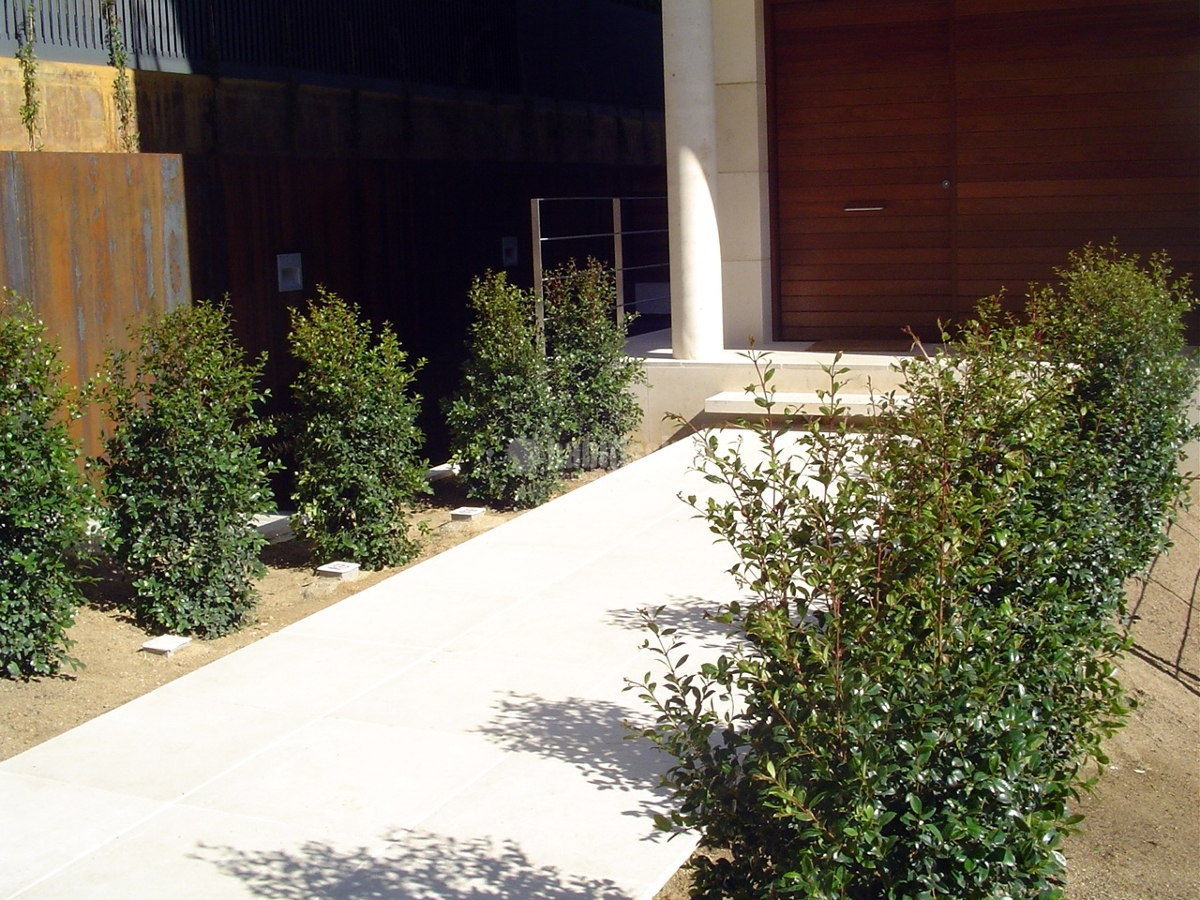 Jardí a Barcelona. Caràcter bohemi