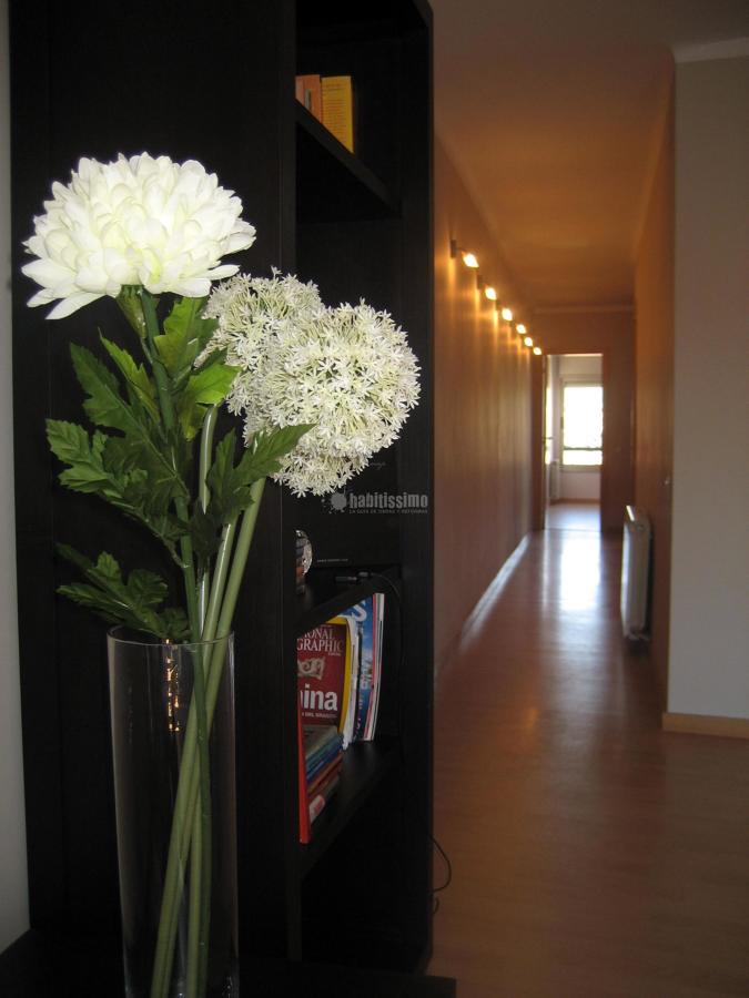 Reforma integral de vivienda particular