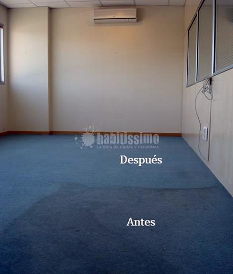 Limpieza de Moquetas y Alfombras
