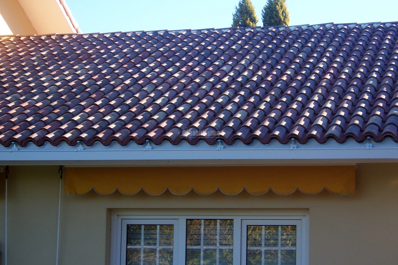 Tejado teja envejecida.