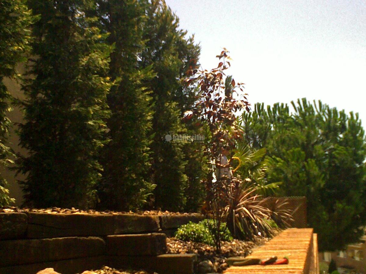 Disseny, obra i plantació de baix manteniment