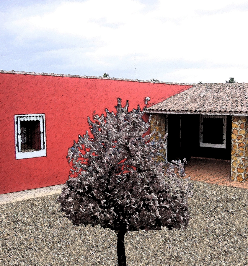 REHABILITACIÓN CASA DE CAMPO EN TOLEDO