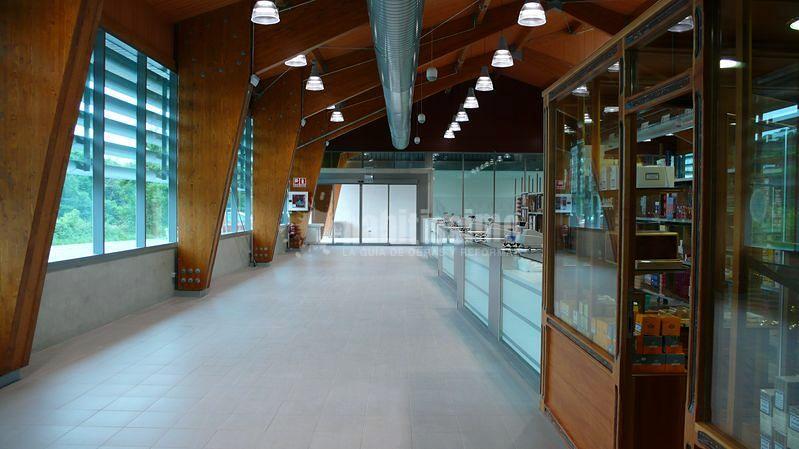 Proyecto de edificio de venta en Dantxarinea