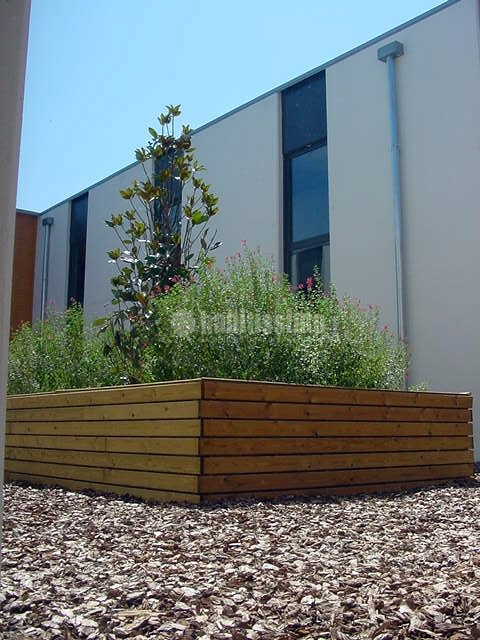 Colegio CEIP Sant Miquel